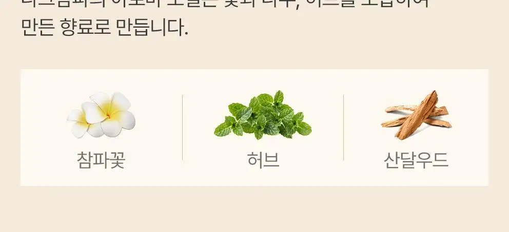 [NEW] 사티아 프레그런스 오일 25ml 5종 택1 상세페이지 24